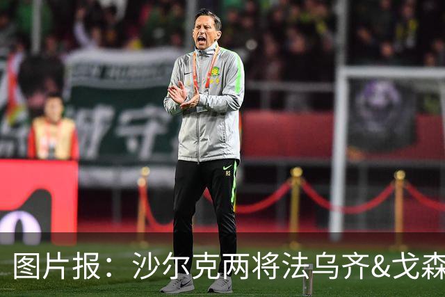 图片报：沙尔克两将法乌齐&戈森斯严重撞伤，将缺席杯赛